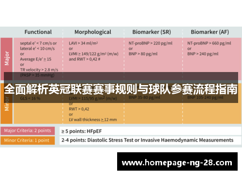 全面解析英冠联赛赛事规则与球队参赛流程指南