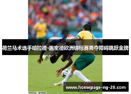 荷兰马术选手哈拉德·施密德欧洲锦标赛勇夺障碍跳跃金牌 荷兰马术选手哈拉德·施密德欧洲锦标赛勇夺障碍跳跃金牌