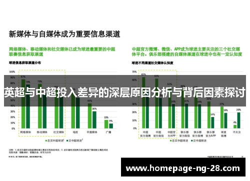 英超与中超投入差异的深层原因分析与背后因素探讨