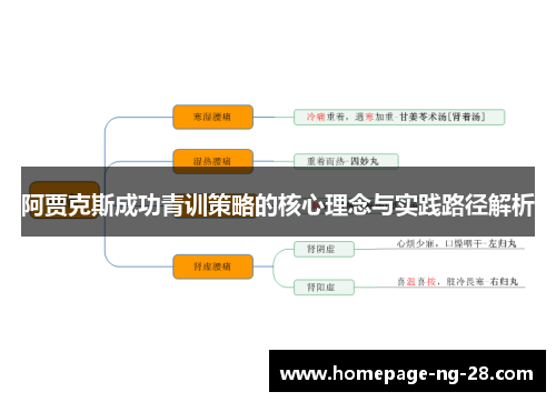阿贾克斯成功青训策略的核心理念与实践路径解析