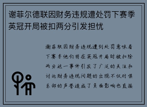 谢菲尔德联因财务违规遭处罚下赛季英冠开局被扣两分引发担忧 谢菲尔德联因财务违规遭处罚下赛季英冠开局被扣两分引发担忧
